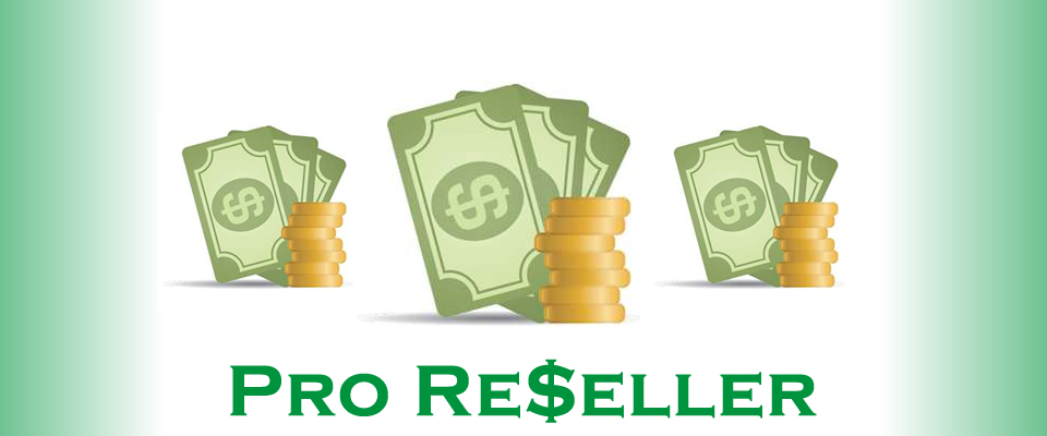 Domain Reseller Program